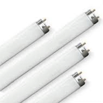 Fluorescent Lamps