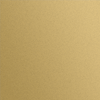 Oracal 8500 - 091 Gold (15" x 50yrd)