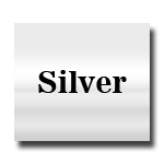 FDC 2100 Silver