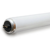 T12 Fluorescent Lamp, Daylight/High Output (64") 800mA