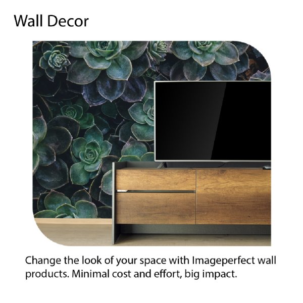 Imageperfect Wall Decor